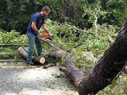Best Utility Line Clearance  in Hercules, CA